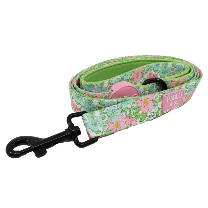 Flora and Fern | Leash