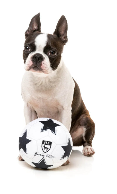 Plush Soccer Ball Dog Toy - Peticular