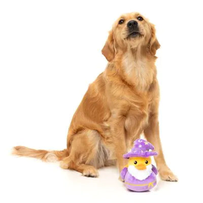Sirius Quack | Small