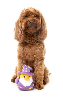 Sirius Quack | Small