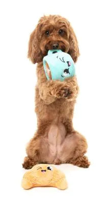 Croissant and Cappuccino