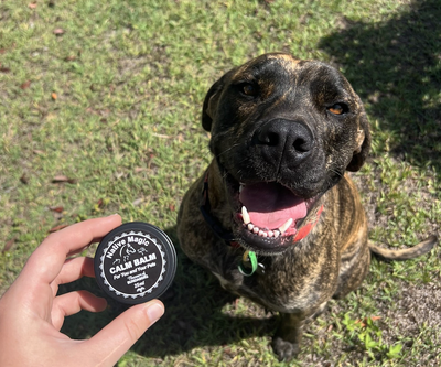 Native Magic Lemon Myrtle Calm Balm | 25ml Tin