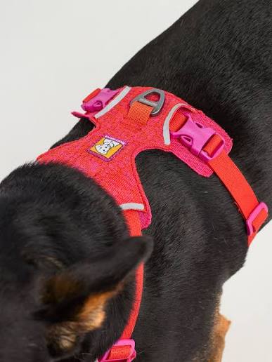 Front Range Flex Knit Harness | Rose Violet - Peticular