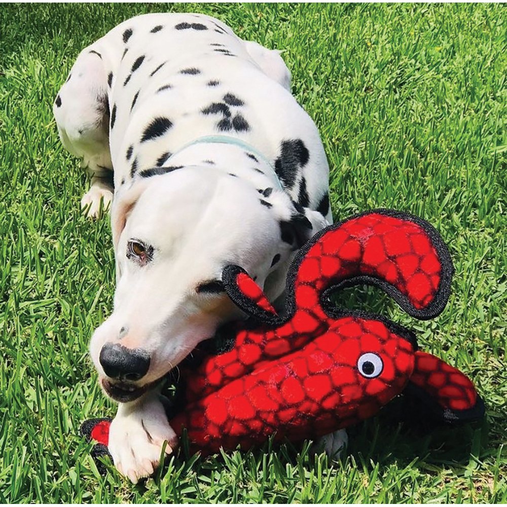 Tuffy Sea Creatures | Larry Lobster