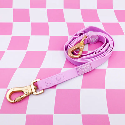 Lavender Waterproof Multifunction Leash