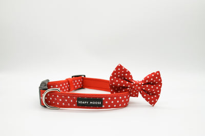 Red & White Polka Dots Collar & Bow Tie