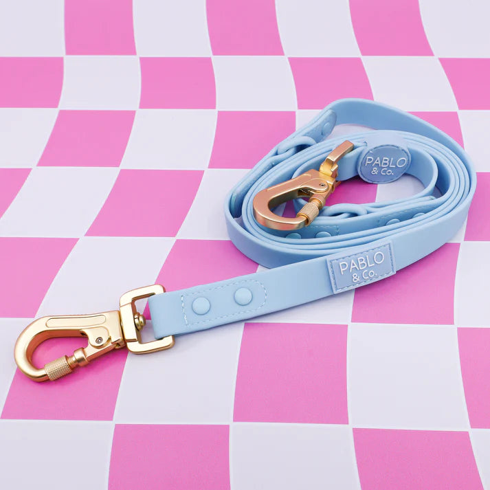 Sea Salt Waterproof multifunction Leash