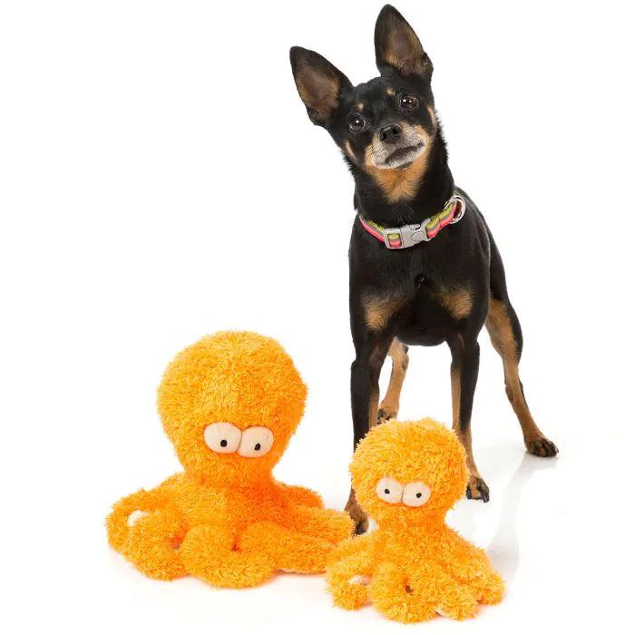 Sir Legs A Lot The Octopus Small