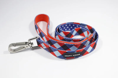 The Trendsetter Leash