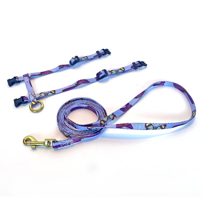 Bobby The Butterfly Cat Harness & Lead