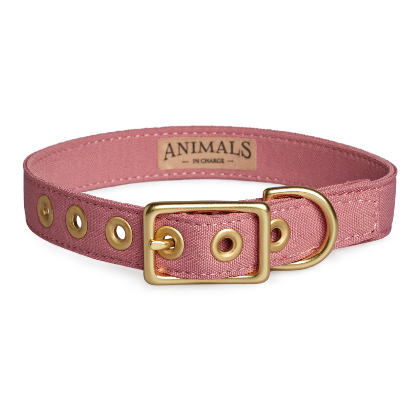 Dusty Pink + Brass | All Weather Dog Collar