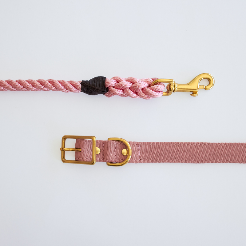 Dusty Pink + Brass | All Weather Dog Collar