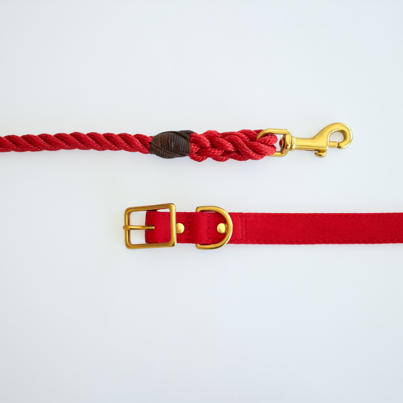 Red + Brass | All Weather Dog Collar