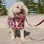 Hoodie Dog Towel | Pink Ocelot