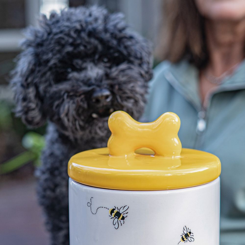 Bee Pet Treat Jar