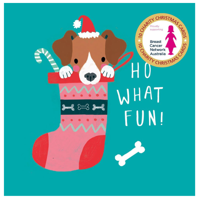 Charity Christmas Card Box Breast Cancer Network AU Ho What Fun charity-christmas-card-box-breast-cancer-network-au-ho-what-fun
