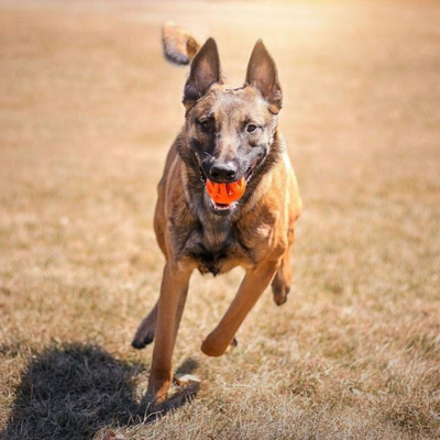 Breathe Right Fetch Balls | 2 Pack