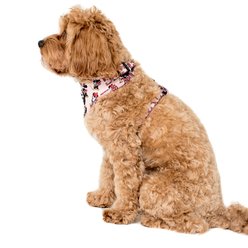 Minnie Mouse | Adjustable Dog Harness
