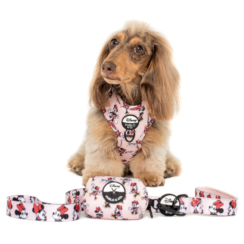 Minnie Mouse | Adjustable Dog Harness