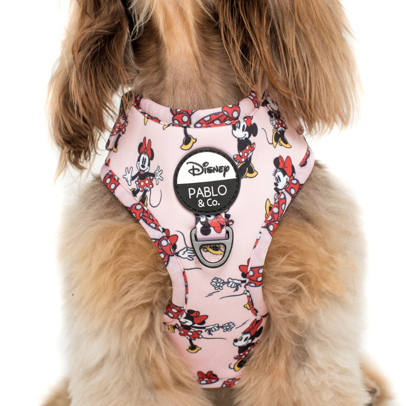 Minnie Mouse | Adjustable Dog Harness