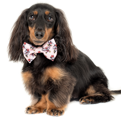 Minnie Mouse | Dog Bow Tie