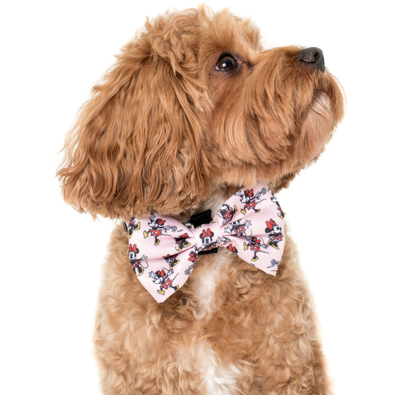 Minnie Mouse | Dog Bow Tie