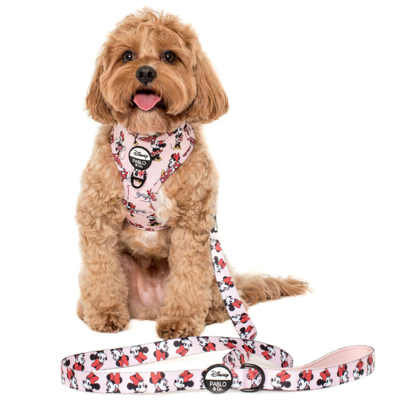 Minnie Mouse | Dog Leash