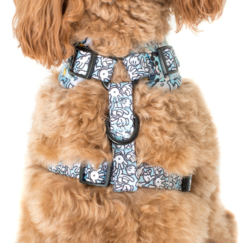 The Original Mickey Mouse | Adjustable Dog Harness
