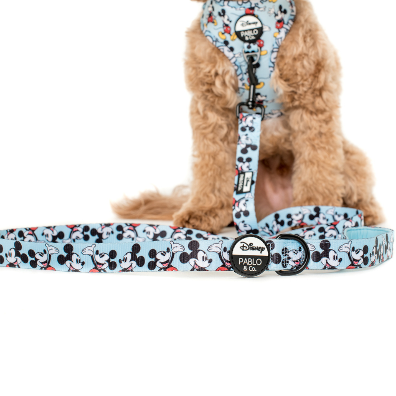 The Original Mickey Mouse | Dog Leash