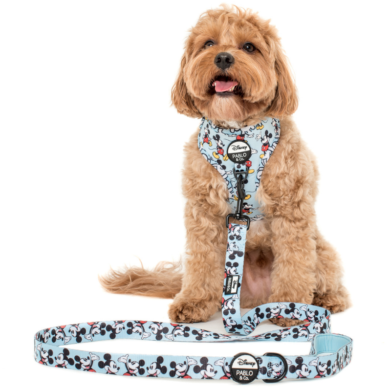 The Original Mickey Mouse | Dog Leash