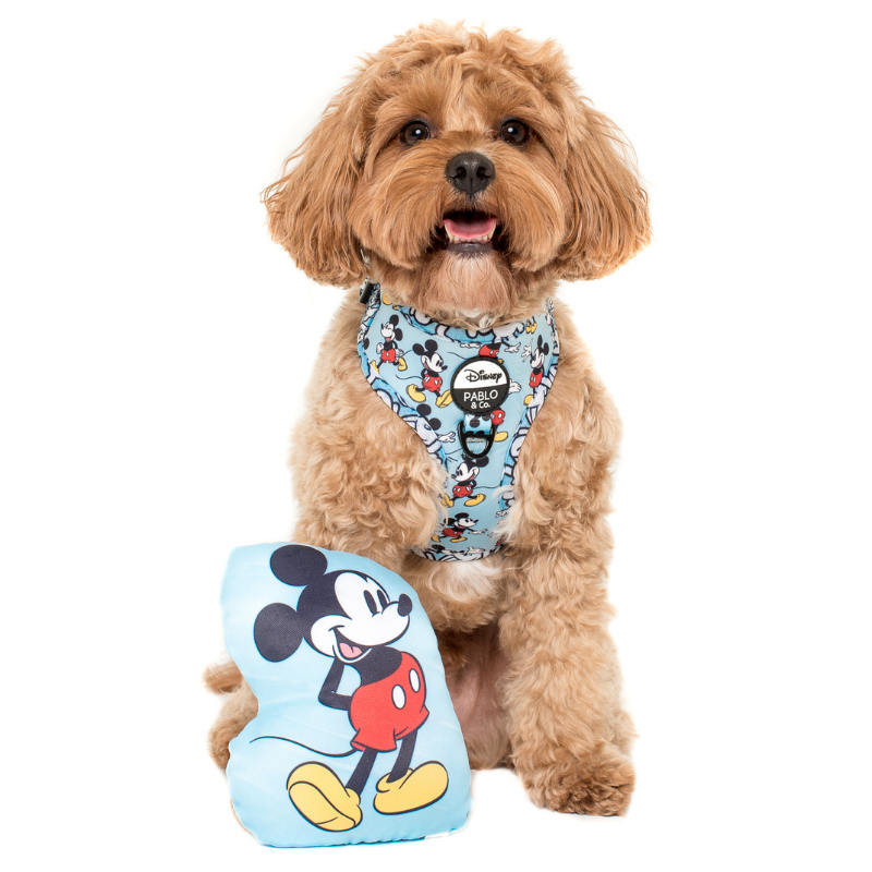 Mickey dog toy hot sale