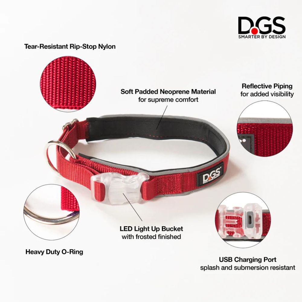 Comet LED Safety Light Dog Collar