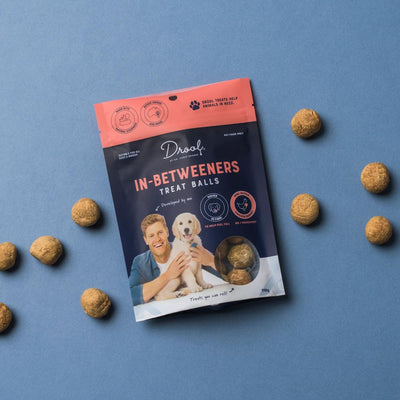 In-Betweeners Dog Treat Balls | Salmon