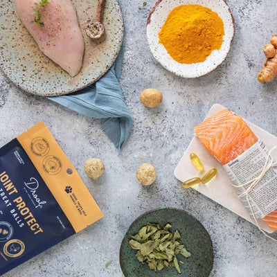 Joint Protect Dog Treat Balls | Chicken