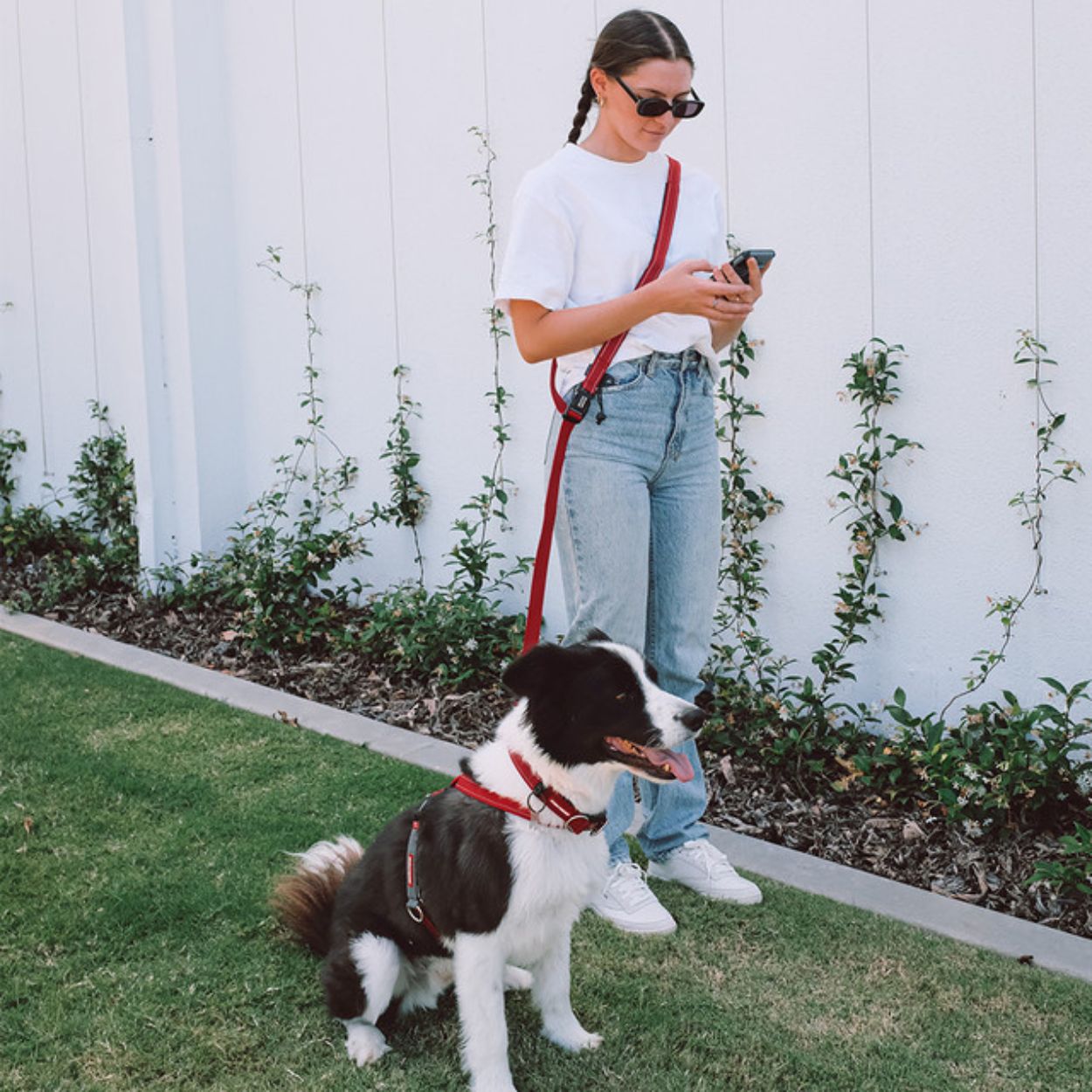 Road Runner Dog Leash