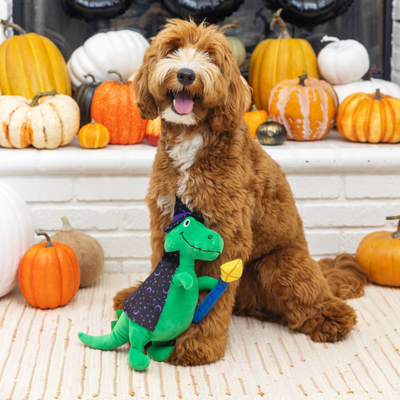 Spell-A-Saurus Halloween Dog Toy