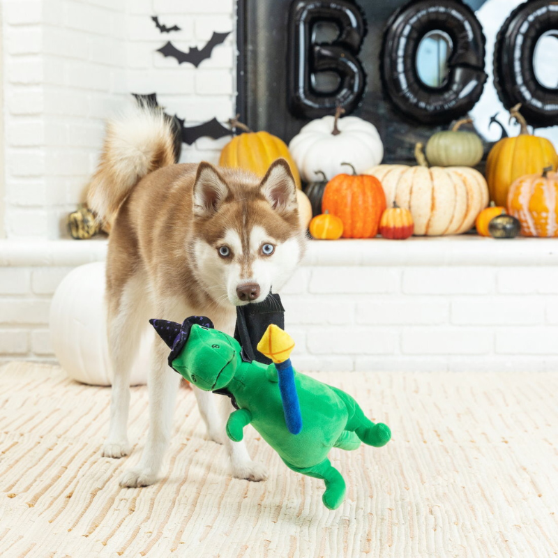 Spell-A-Saurus Halloween Dog Toy