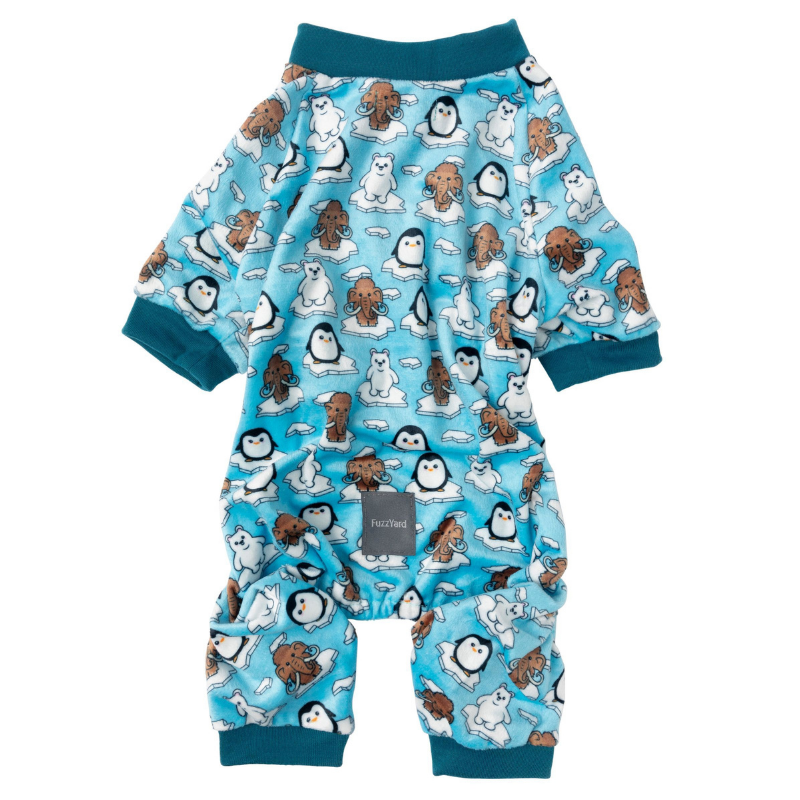 Arctic Age Onesie Pyjamas