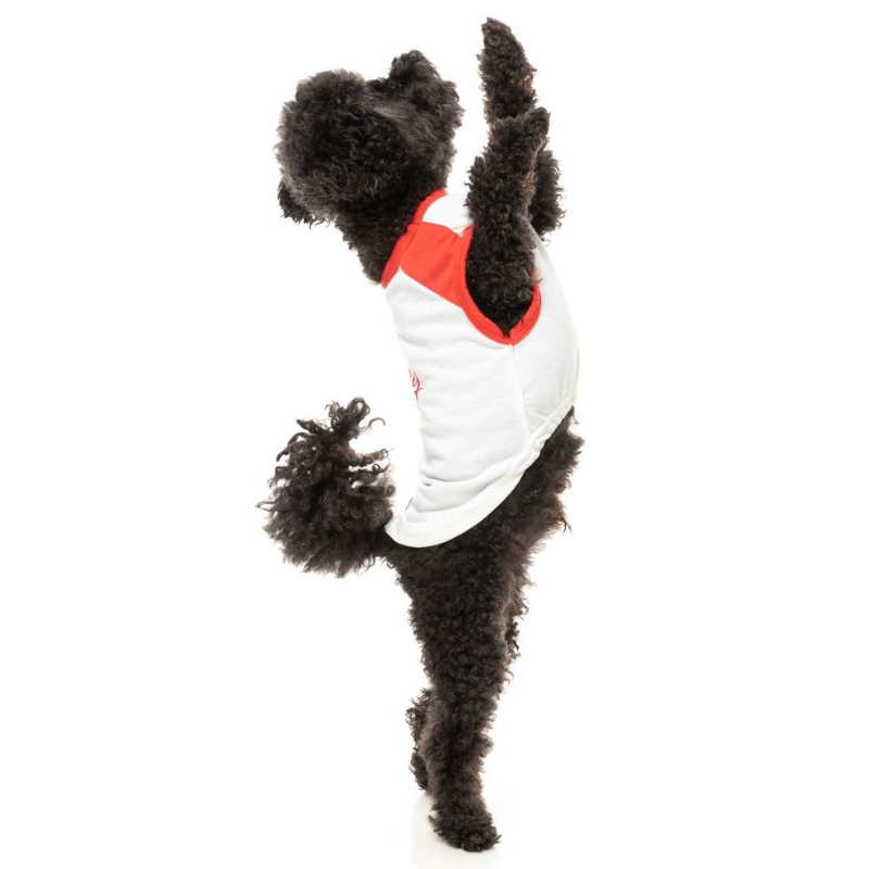 Christmas Dog T-Shirt | Just Be Naughty