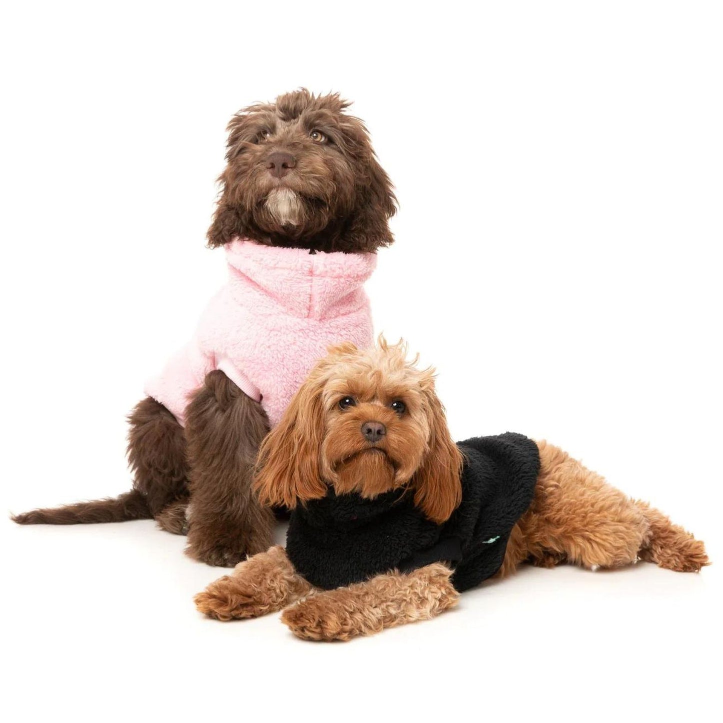 Turtle Teddy 23 Dog Sweater | Black