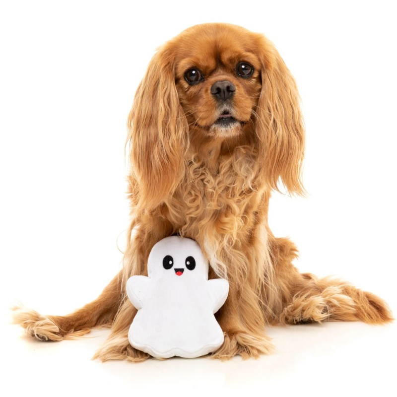 Halloween Plush Dog Toy | 2 Cute 2 Spook Ghost