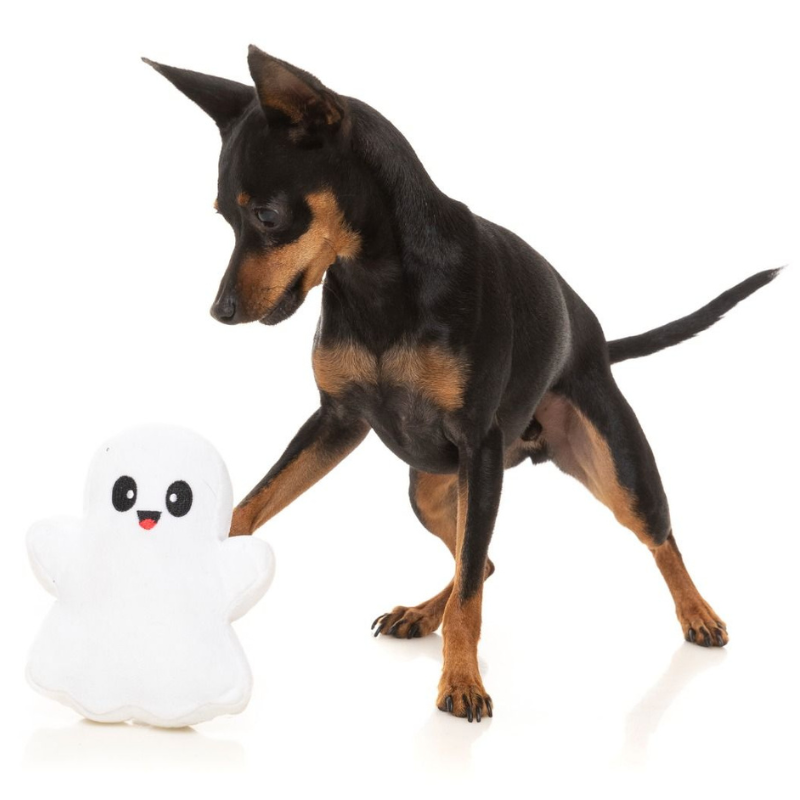 Halloween Plush Dog Toy | 2 Cute 2 Spook Ghost