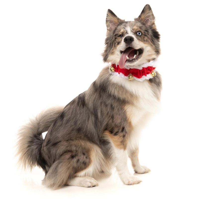 Jingle Bells Christmas Collar