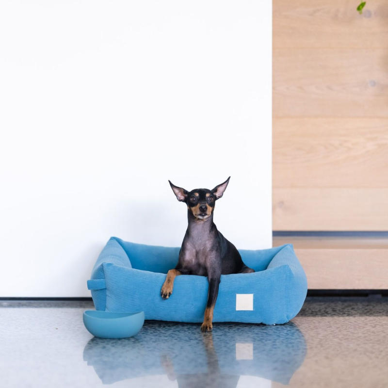 Corduroy Dog Bed | French Blue