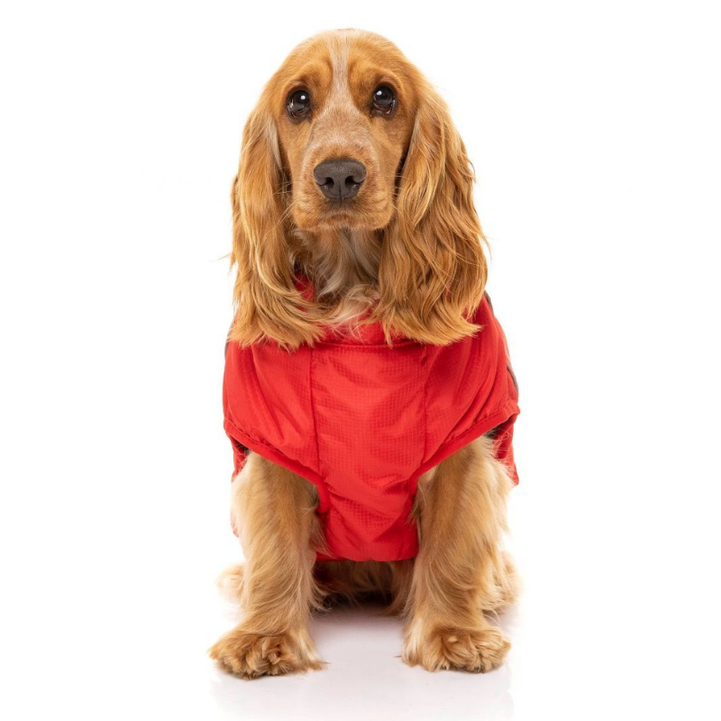 Space Dog Jacket | Red - FINAL SALE. NO RETURNS.