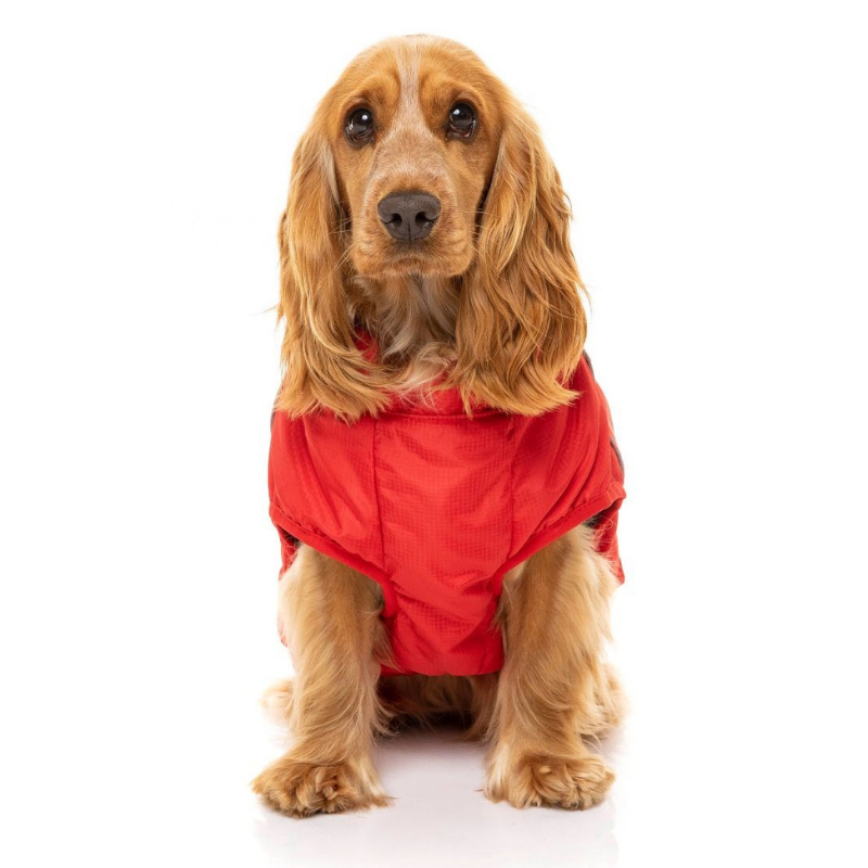 Space Dog Jacket | Red