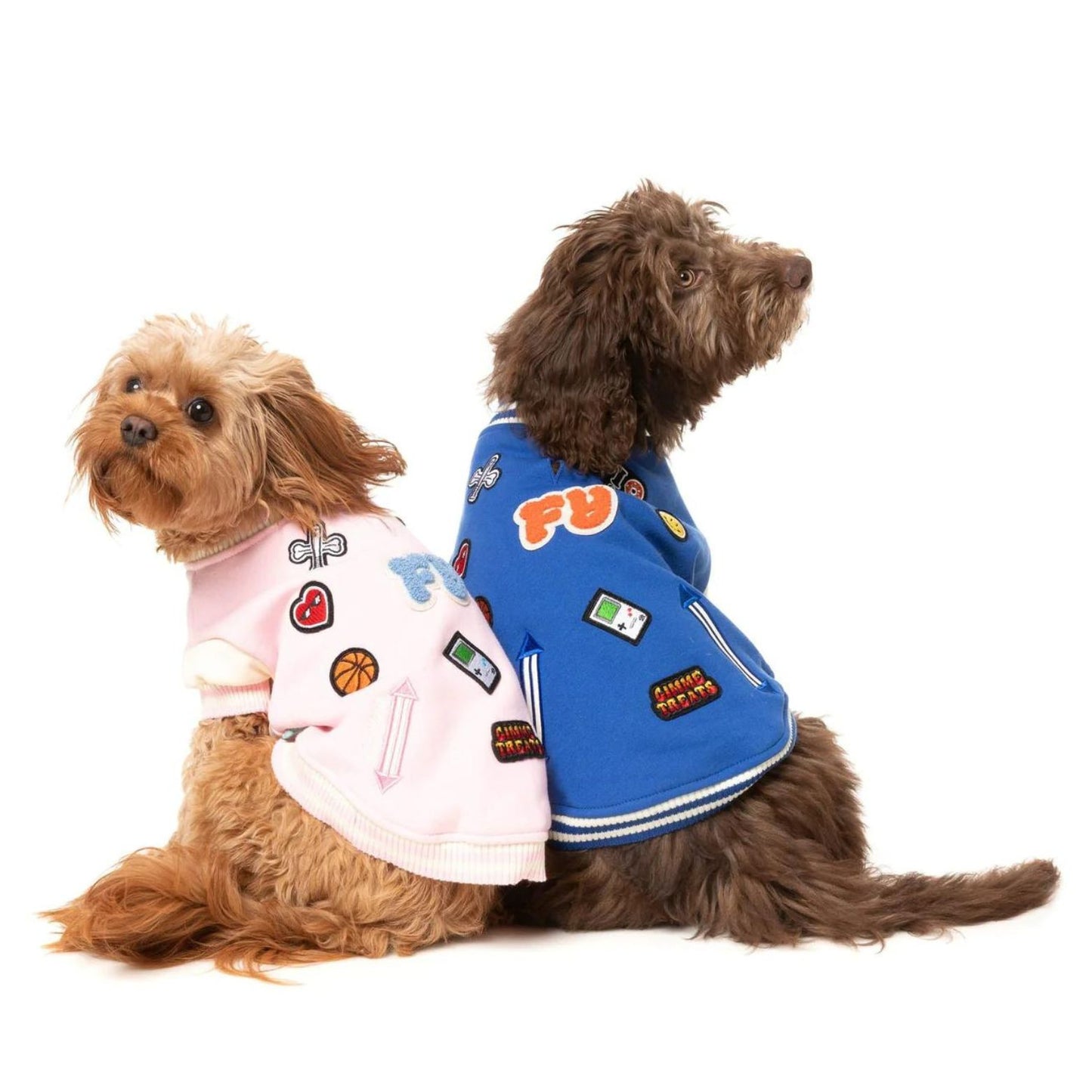 The Letterman Dog Jacket | Blue