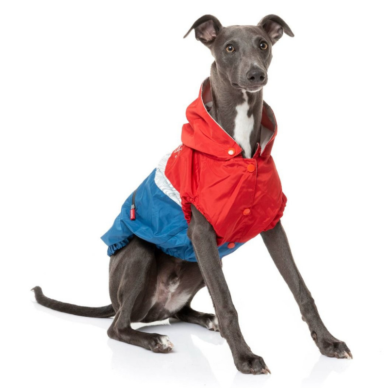 The Seattle Dog Raincoat | Red + Blue