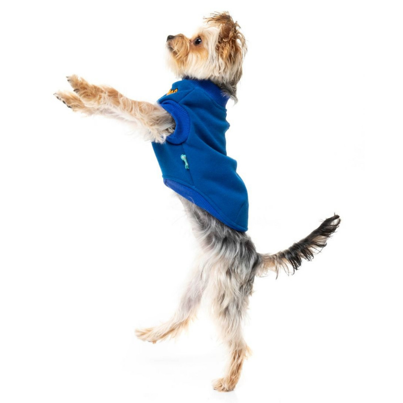 The Woof Sweater | Blue