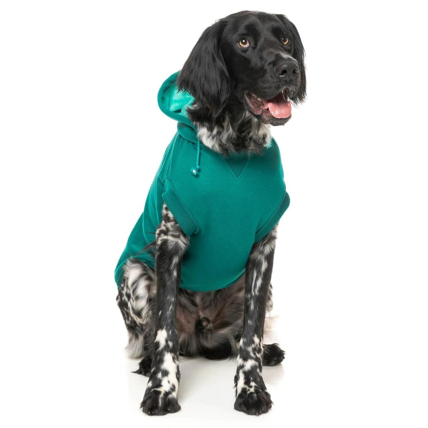 Wooftagram Dog Hoodie | Green